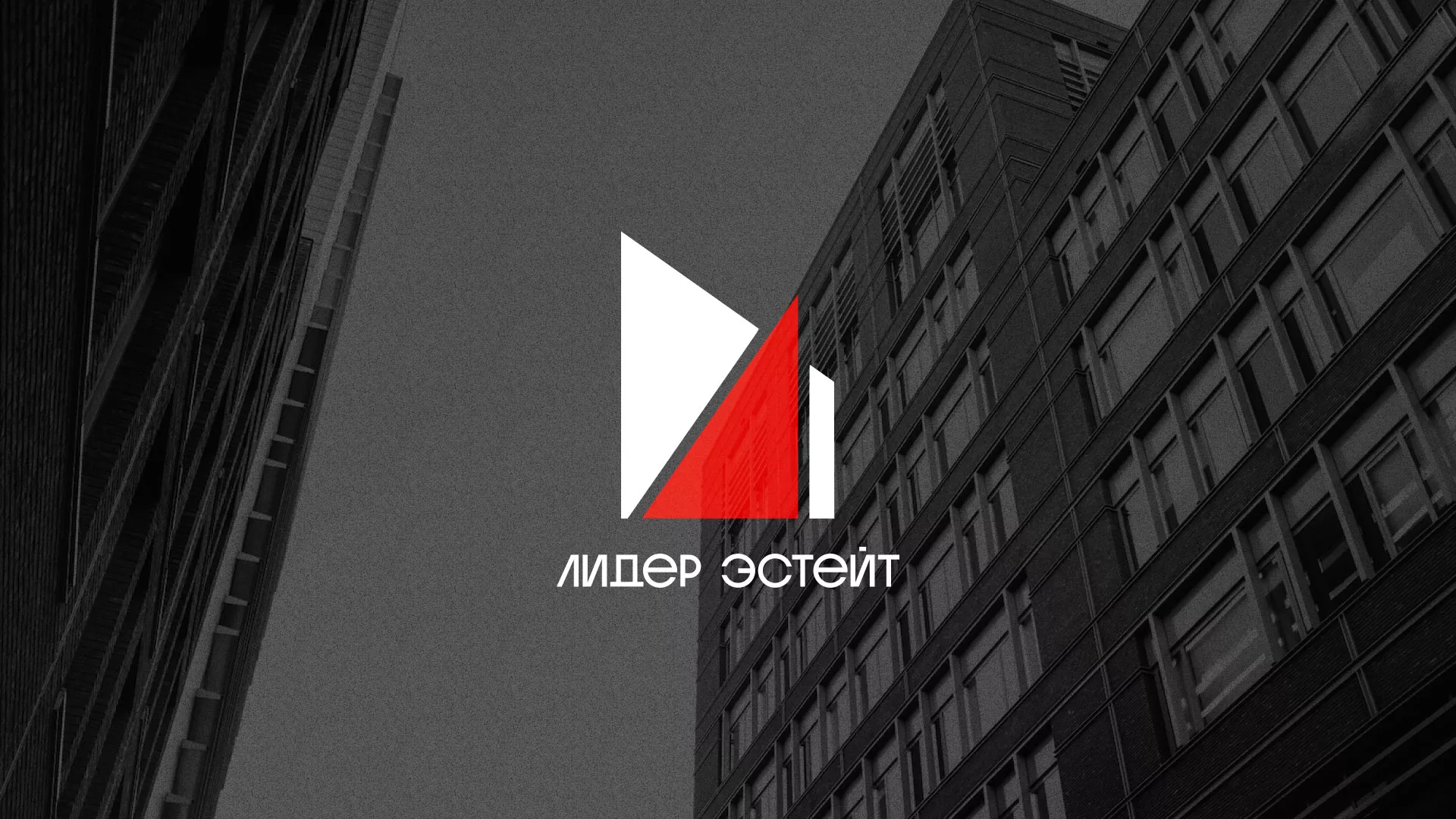 Сделали логотип для агентства недвижимости «Лидер Эстейт» в Великом Устюге